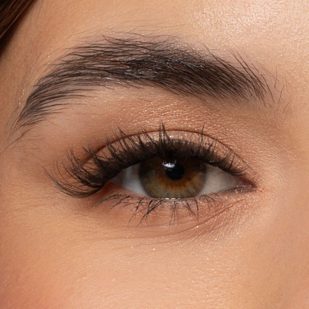 Daisy bonsing eyelashes on the eye